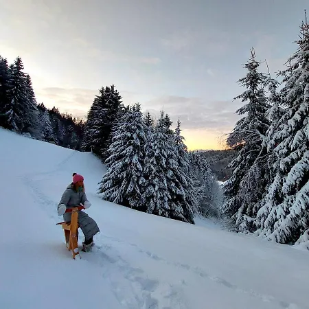 Kmetija Dolski - In Peaceful Nature, Hiking And Biking * Sovodenj
